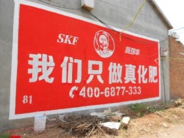 分宜刷墙广告”蕴含了时代命题