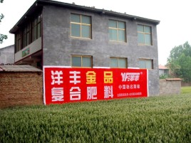 分宜如何让墙体广告展现最大化效果