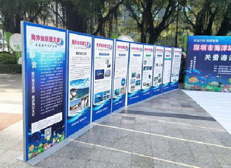 分宜KT板的种类和知识。